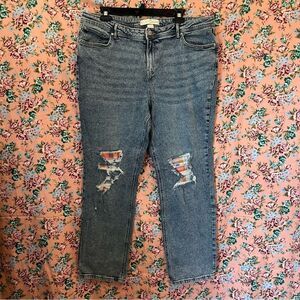 Cato Est 1946 Hi-Rise Distressed Colorful Gingham Patch Stretch Jeans Sz 16